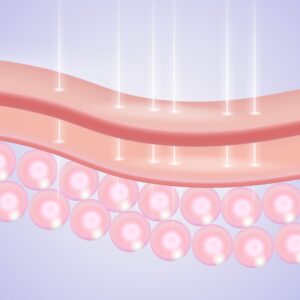 Absorption,Of,Vitamin,Cream,In,Skin,Cells