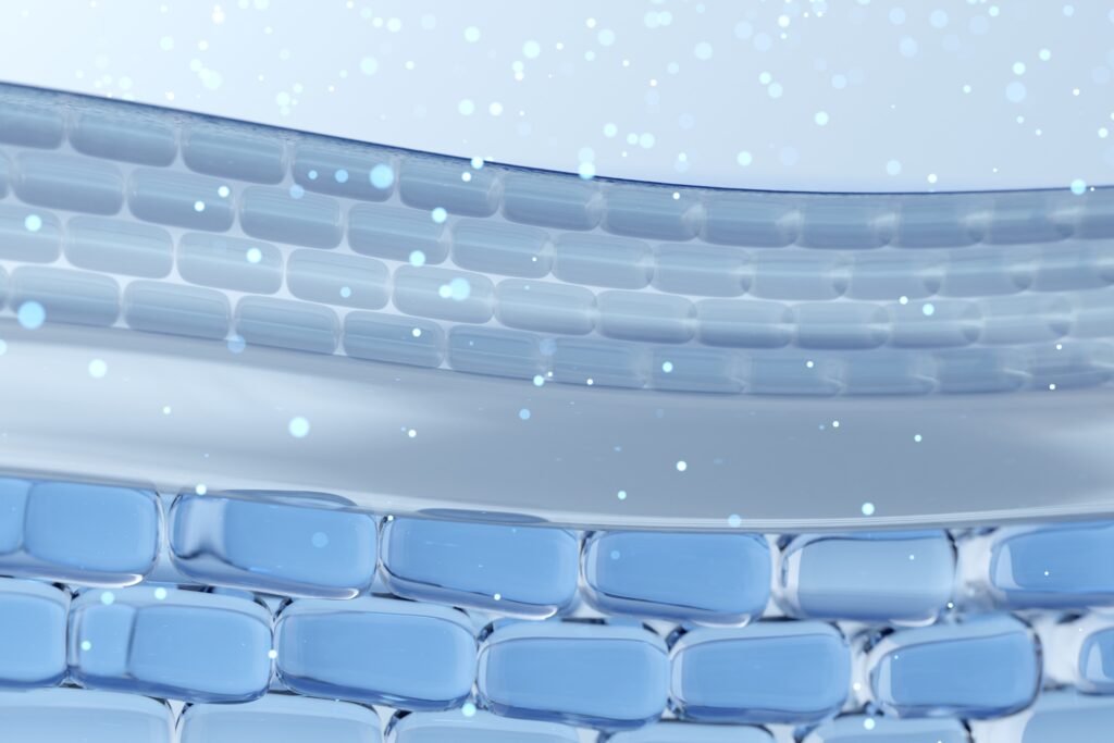 스킨부스터는 피부 겉이 아닌 진피층에 보습 성분을 직접 주입하는 방식