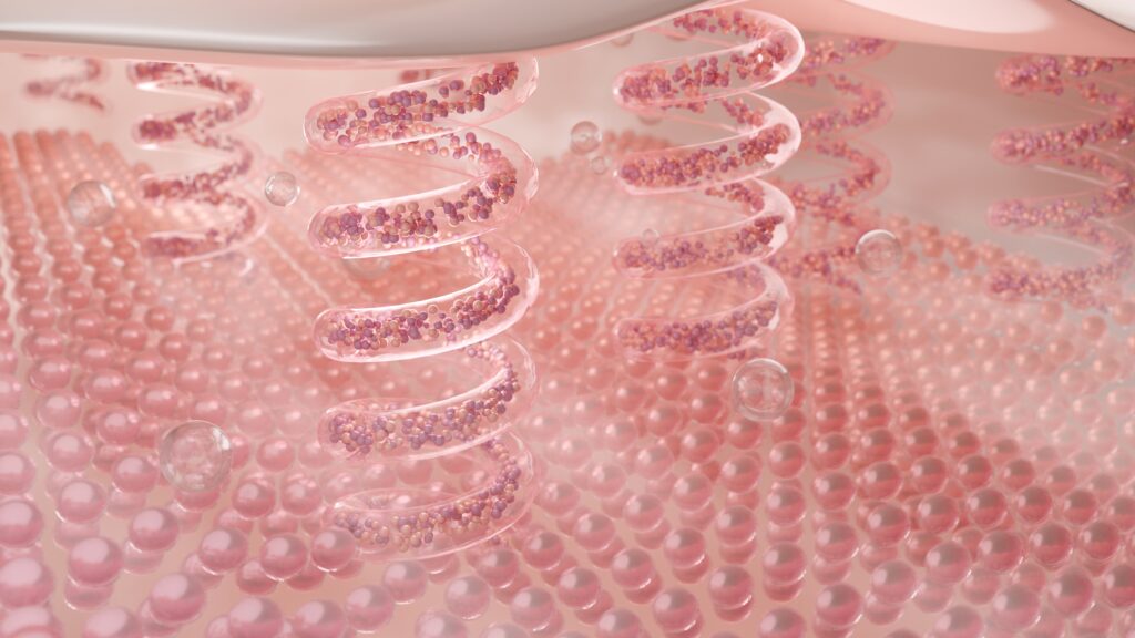 피부 아래층 탄력