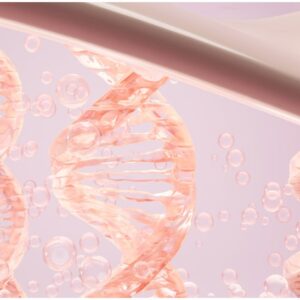 피부를 지탱하는 콜라겐 구조