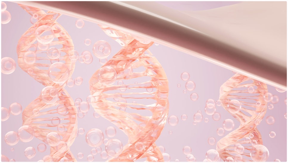 콜라겐 재생이 점차 활발해져서 탄력이 좋아짐