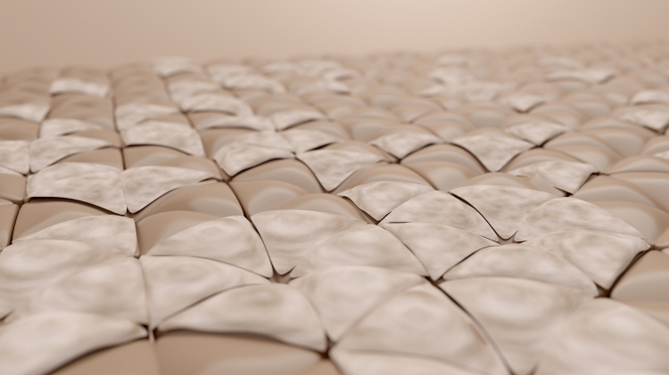 피부 환경 자체가 건조해진 경우에는 겉보습 위주의 관리만으로는 한계가 있을 수 있어 이런 경우 홍대 마인드피부과 레스틸렌 비탈을 고려하는 분들이 많다