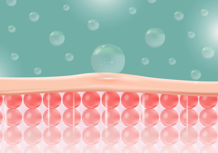 진피층은 피부를 지탱하는 기둥과 같은 역할을 하는데, 시간이 지나면서 약해지면 탄력이 떨어질 수 있다.