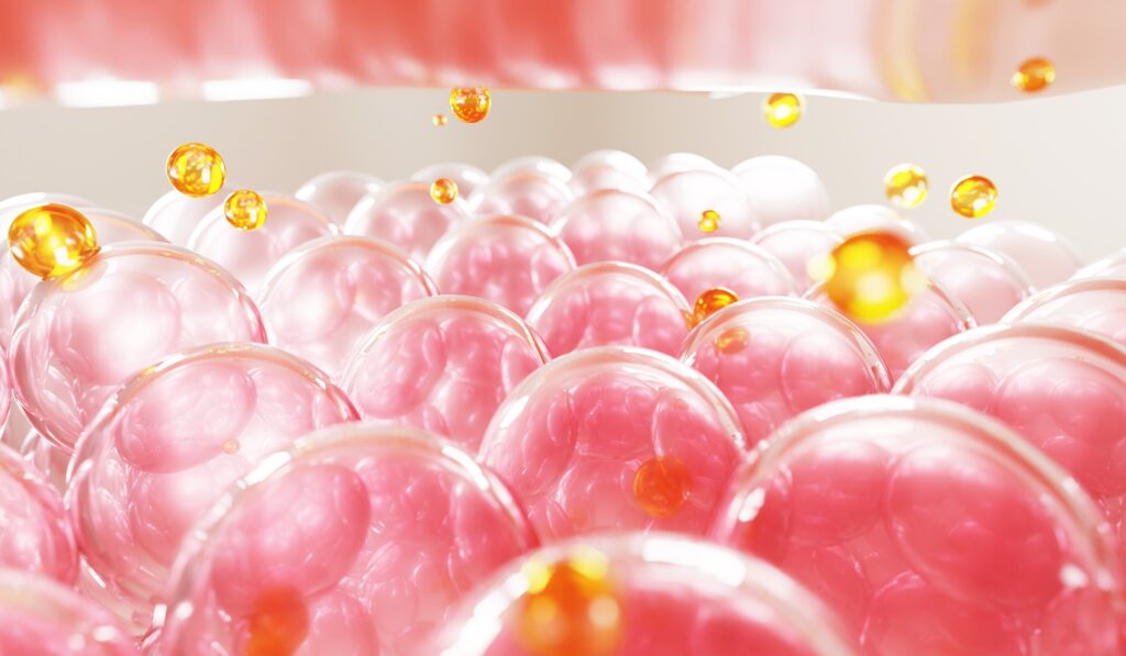 피부 속 진피층에 존재하는 콜라겐은 피부를 지탱하는 기둥 역할을 하는데, 이 콜라겐이 감소하거나 늘어지게 되면 피부는 자연스럽게 탄력을 잃고 주름이 형성되기 시작합니다.