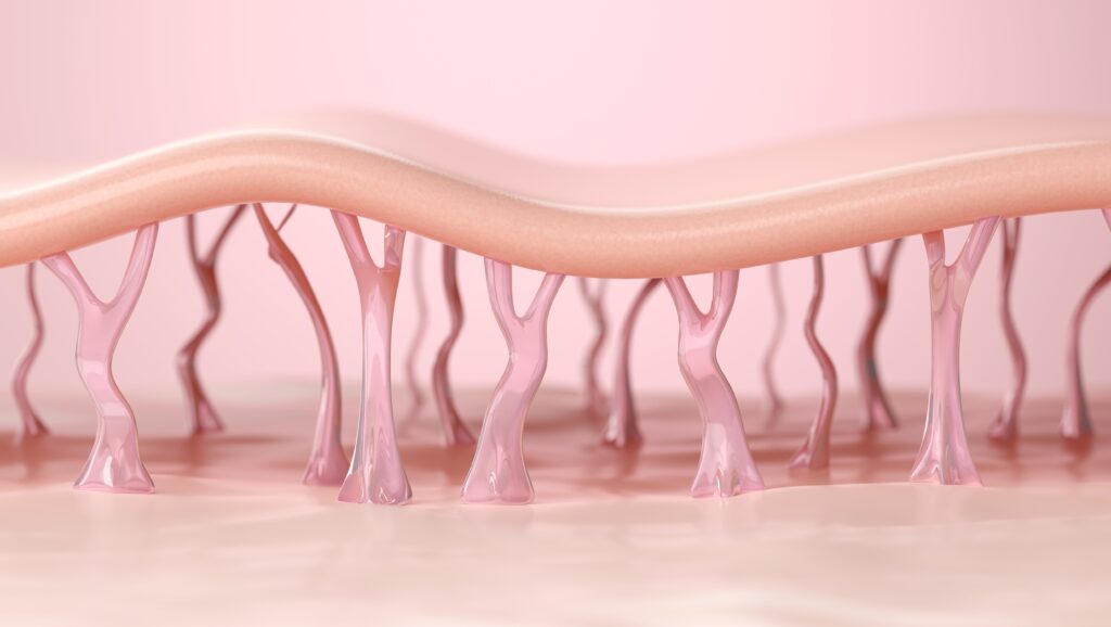 눈에 잘 띄지 않는 피부 속에서 탄력을 받쳐주던 기반이 조금씩 약해지면서 전체적인 밀도가 줄어듬