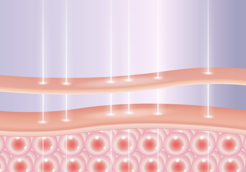 노화를 예방하기 위해 홍대 마인드피부과 써마지 시술이 필요할 수 있습니다.