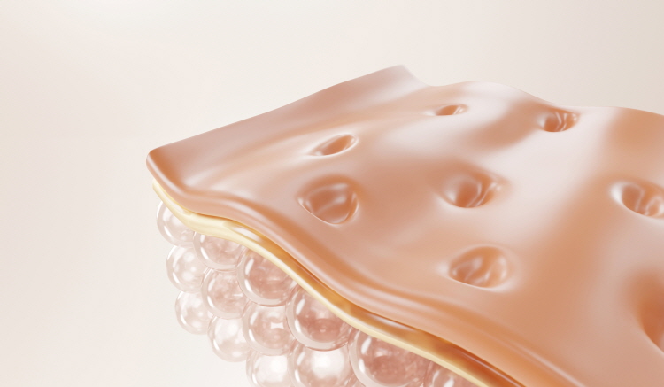 홍대 마인드피부과 포텐자와 엑소좀을 역할이 다르기 때문에 병행하여 받으면 높은 효과를 볼 수 있다