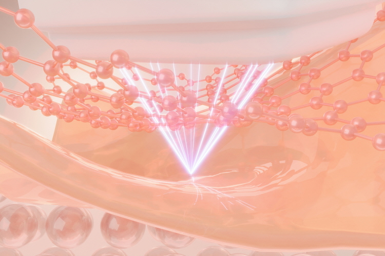 직접 상담과 진료를 통해 개개인의 피부 상태를 구조적으로 분석하는 과정을 중요하게 생각하는 곳